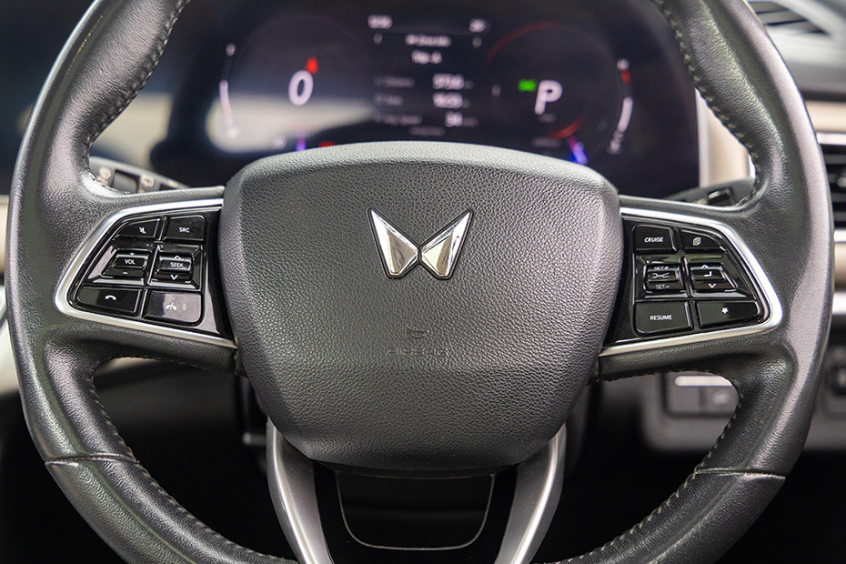 Mahindra XUV700 Horn Pad