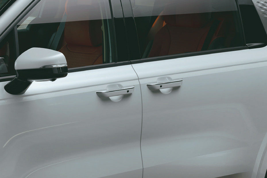 Kia Carnival Door Handle