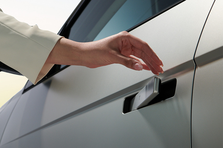 Hyundai IONIQ 5 Door Handle