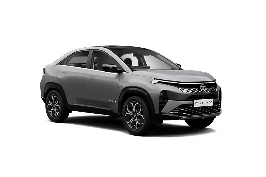 Pure Grey Black Roof