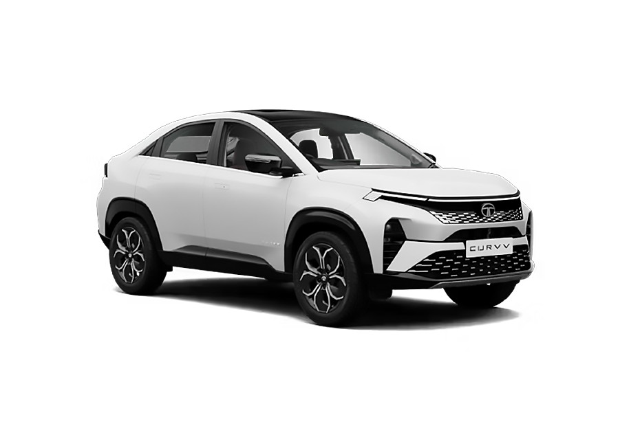 Pristine White Dual Tone