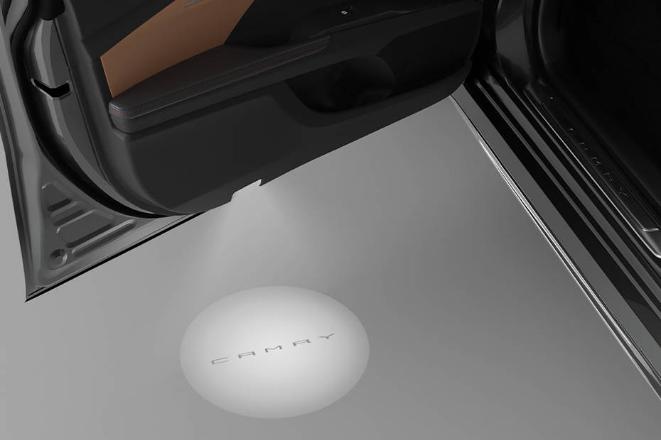 Toyota Camry Puddle Lamp