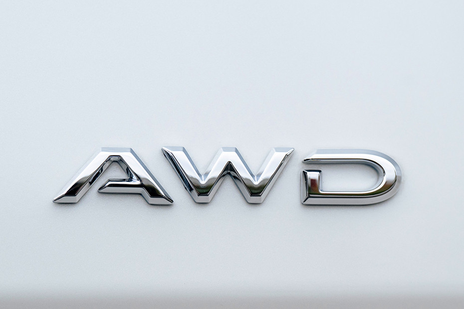 Toyota Urban Cruiser Variant Badge